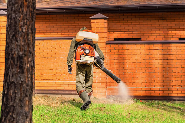 Top rated local Ant Control specialists in Martin's Additions, MD